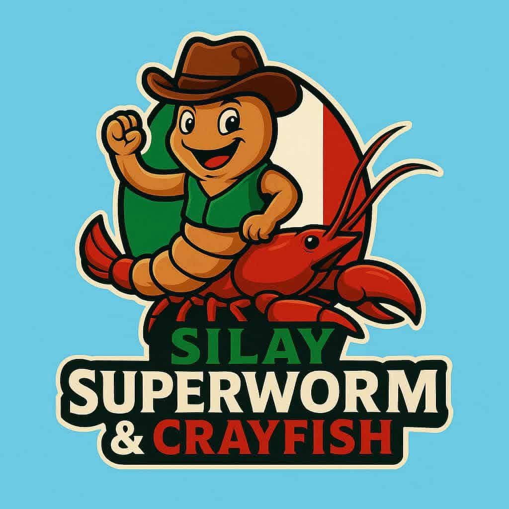 Silay Superworm & Crayfish